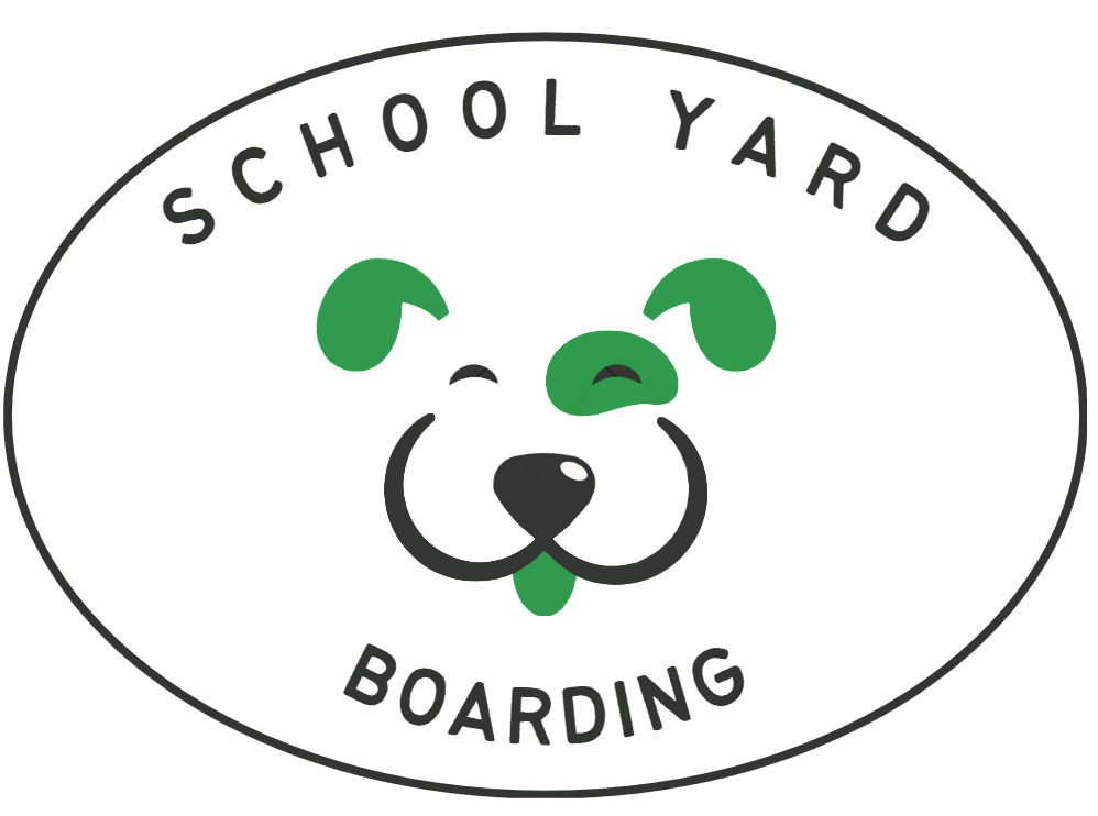 school yard boarding